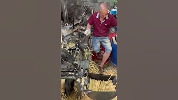 Bamboo Chopsticks Processing Technology - Good Tools and Machinery Make the Work Easy #machine