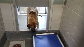 acs A675932
