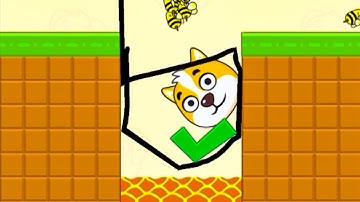 Save The Dog Speedrun Gameplay Level 298