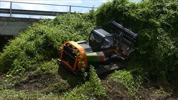 LV1400 SAFETY OR THRILL MDB Srl / Dig & Cut IKE