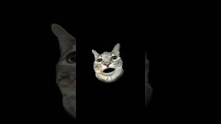 jla huaa jira #viral #funny