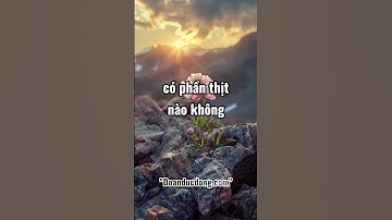 Có một người phụ nữ cả đời #shorts #doanducdong