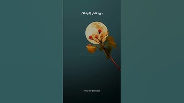 وقالوا الحمدللَّه الذي أذهب عنا الحزن -  تلاوة خاشعة ومؤثرة