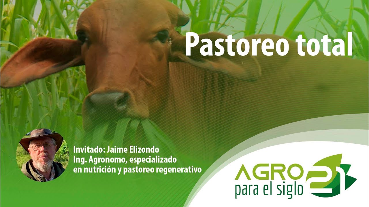 Pastoreo total │ Agro para el siglo 21