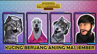 EBBO KUCING YAYUK MAS JEMBER IS DAJJAL || PUBG MOBILE INDONESIA
