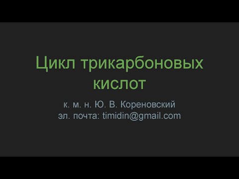 Цикл трикарбоновых кислот