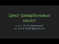 Цикл трикарбоновых кислот