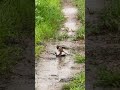 ketika melihat mereka berantem spill reaksi mu