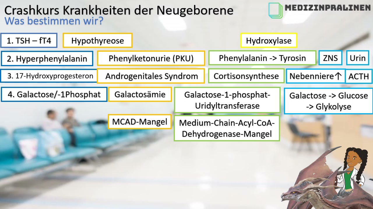 Pädiatrie: Neugeborenenscreening mit Dr. Renate mother of 'cragons' und drogon