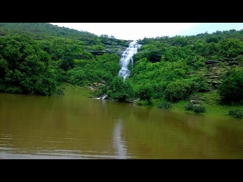 Chandraprabha wildlife |