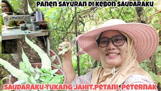 Saudaraku berhasil jadi penjahit, petani, peternak || Mbak iti vlog