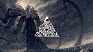 Bird Alert  Space Laces