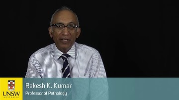 Mouse models of acute exacerbations of allergic asthma