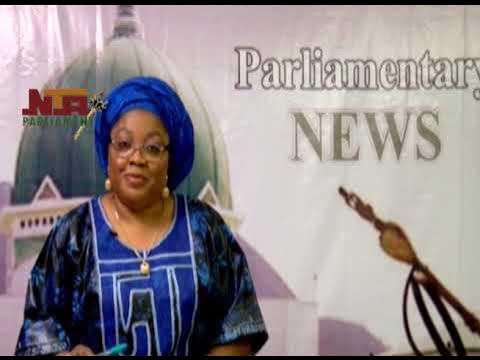 Parliamentary News with Vivian Idepefo  08 FEB  2023