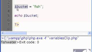 An Introduction to Variables in PHP (Part 1 of 2) Information