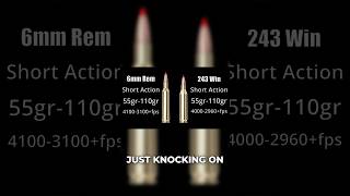 100-Grain At 3100 Fps - 6Mm Remington Breakdown
