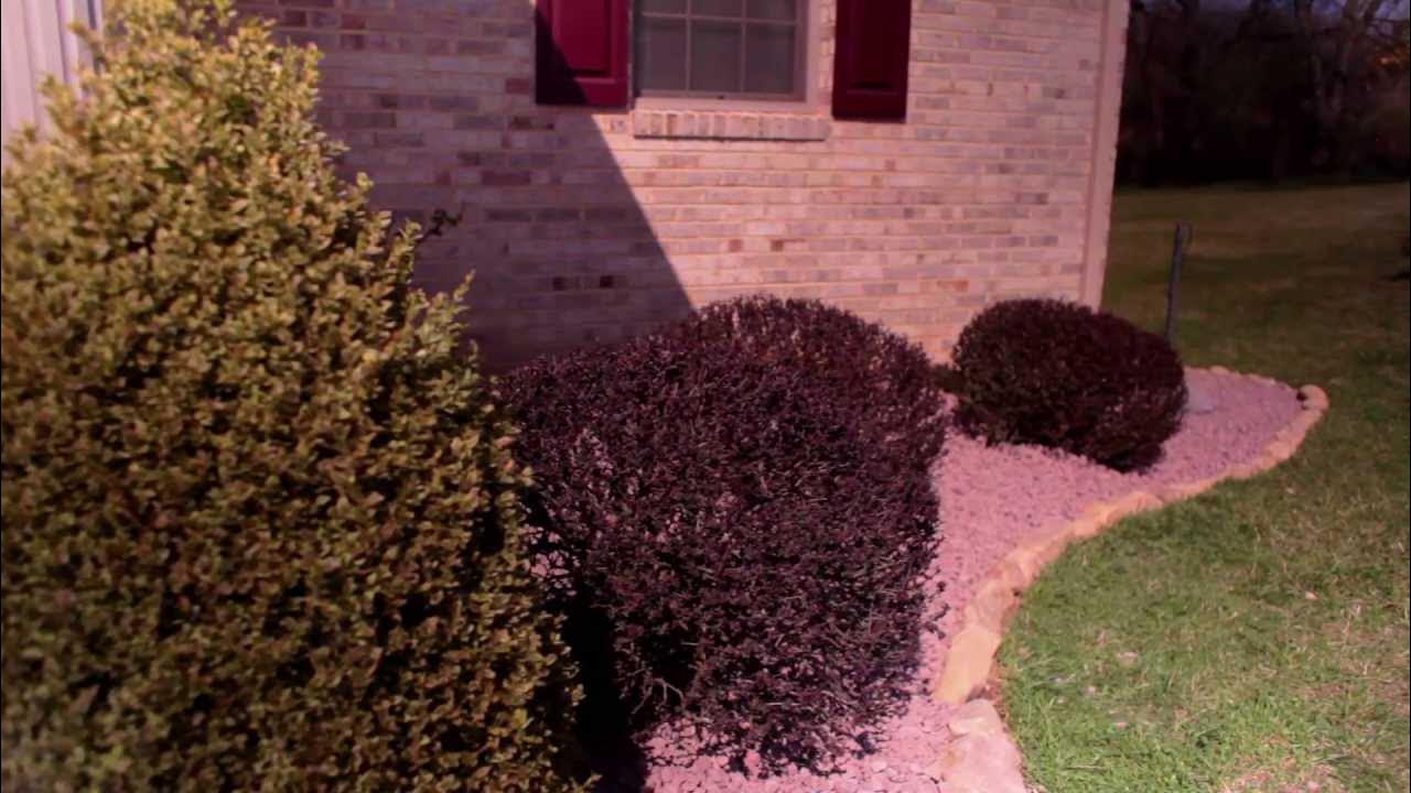 Replace Mulch with Stone YouTube
