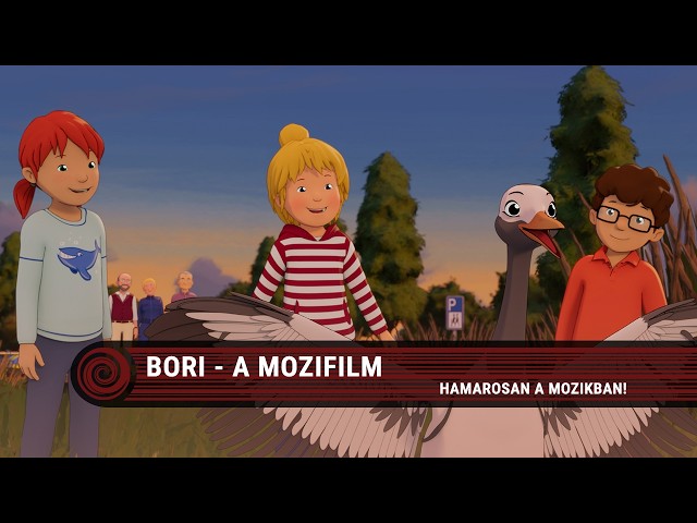 Videó borítókép