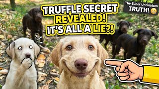 The Hidden Forest Secret No One Tells You About Truffles