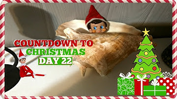 COUNTDOWN TO CHRISTMAS 2016: DAY 22: ELF ON THE SHELF & ADVENT CALENDAR