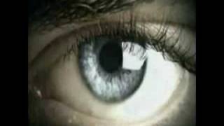 Fear In Our Eyes Artists Original
