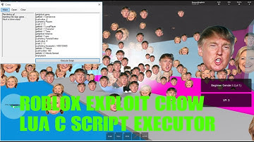 Roblox Hack:Crow(Patched) LUA C and Script Executor/Exploit
