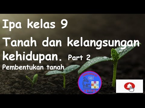 Video: Penciptaan Tanah Dengan Kandungan Humus Yang Tinggi