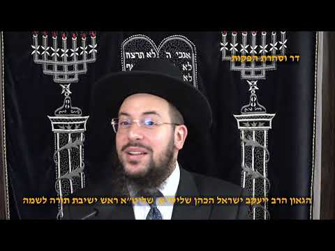 הגאון הרב יעקב ישראל הכהן שליט"א הלכות שבת שתיים מקרא ואחד תרגום פרשת דברים תשפ"ה