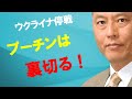 ウクライナ 米露首脳会談 停戦は不可能か