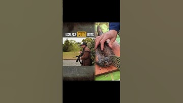 Bots are useless in #pubg...