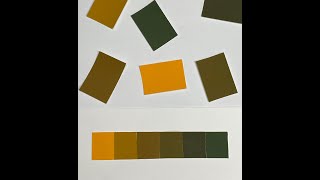 Module #9: Halation and Vanishing Boundaries Net Worth