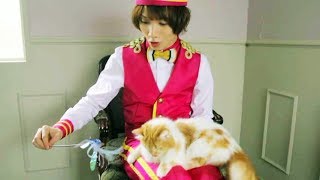 植田圭輔と猫がひたすらじゃれ合う超癒し系なオフショット／大鵬薬品ピュアクイックS軟膏WebCMメイキング