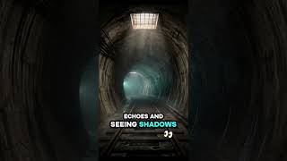 The Ghost Tunnels: Inside America’s Largest Abandoned Subway 🚇👻 #horrorstories #mystery #shorts