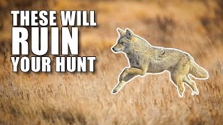 The WORST Coyote Hunting Mistakes