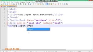 HTML Tag Input Type Password