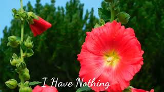 I Have Nothing ll #l #Have #Nothing #HD status #englishsong #song #englishmusic #newenglish #HD