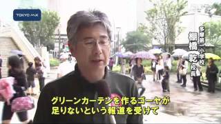 節電に協力しよう　小学生がゴーヤの苗を配布