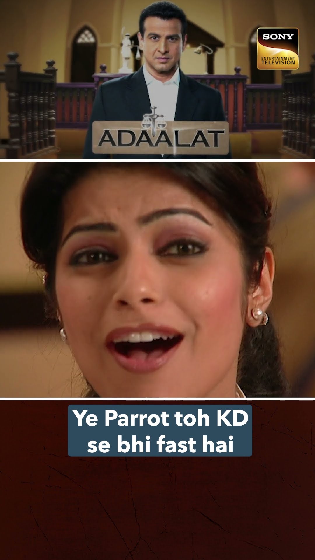 Parrot तो smart निकला #Shorts #Adaalat #KD #Parrot #Case
