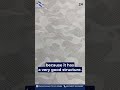 Premium Jersey Fabric | Bhimani Hosiery | Kolkata | Wholesale