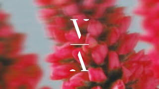 Dirty South - Glacier Extended Mix