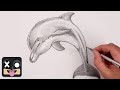 How to draw a dolphin  sketch tutorial for beginners