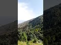 کنگلی 