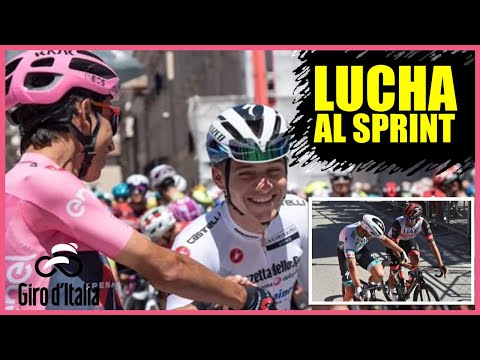 Video: Fernando Gaviria arriva al quarto posto vincendo la 13a tappa del Giro d'Italia 2017