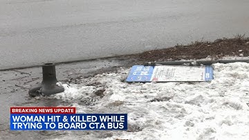CTA bus kept driving after hitting woman trying to board: witnesses