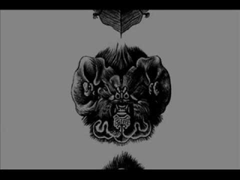 劉美君蝙蝠