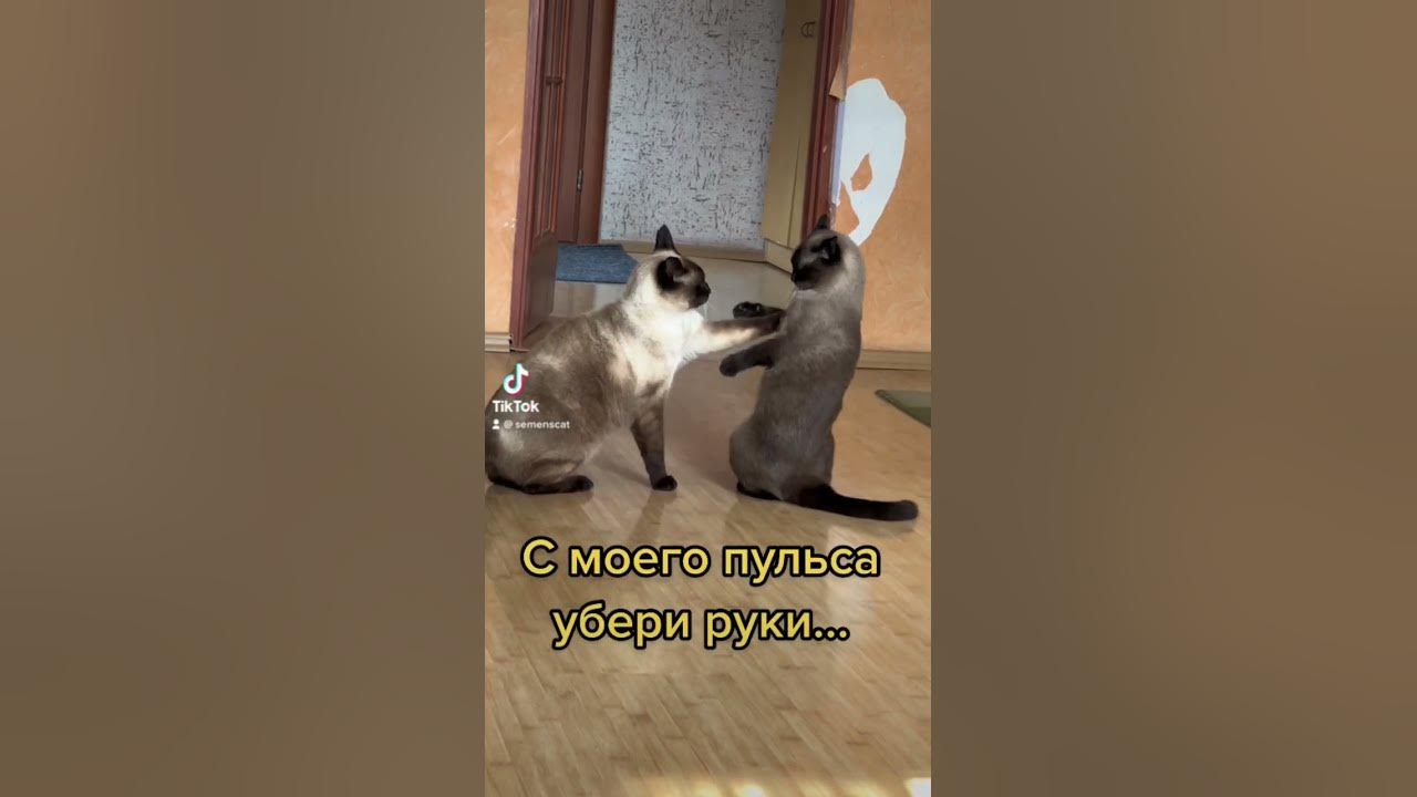 Обои руки убрал