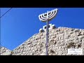 A Tour in Jewish Galilee: Israeli Steps - Lior Tour Guide