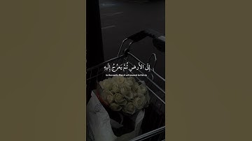 {أَفَلَا تَتَذَكَّرُونَ يُدَبِّرُ الأمر مِنَ السَّمَاءِ} ~ سوره السجده ~ عبد الرحمن مسعد #قرآن