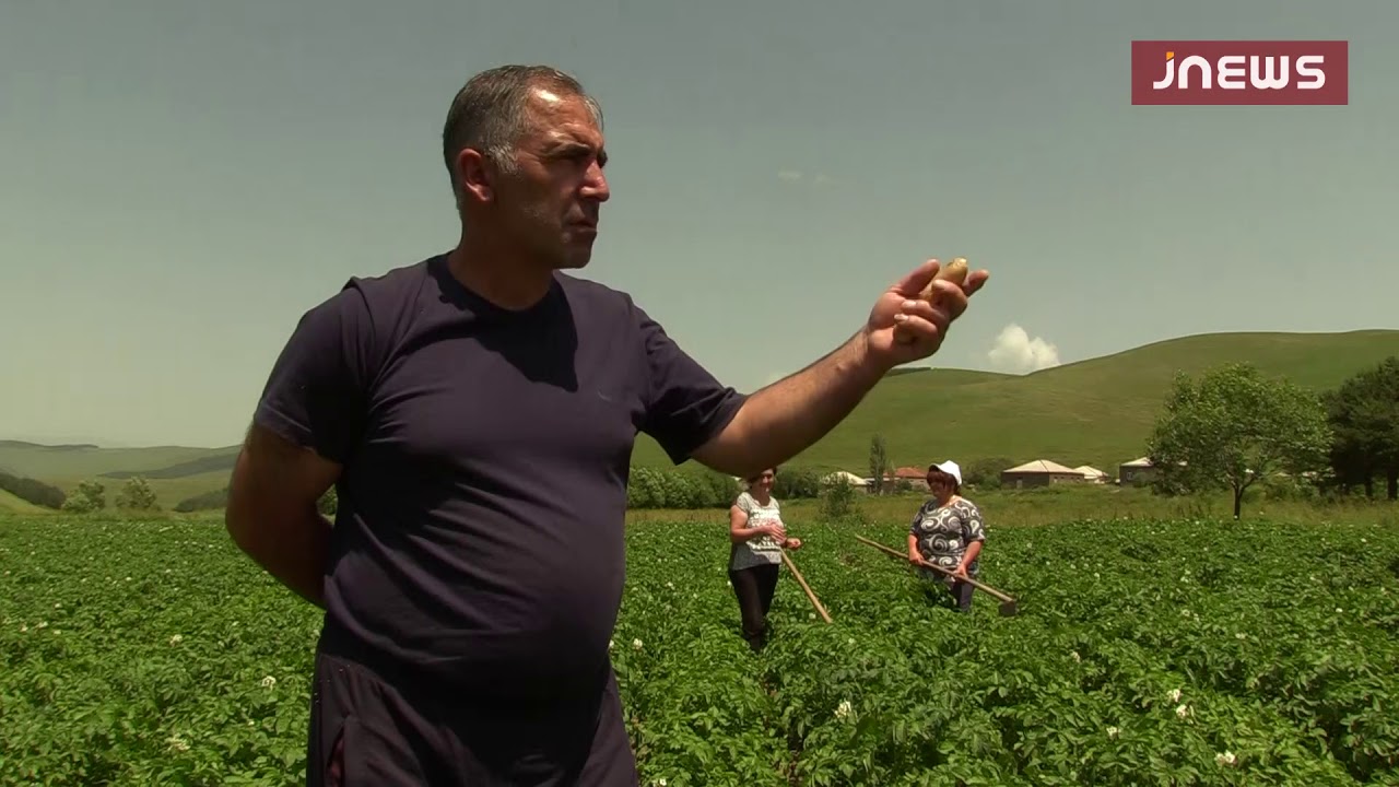 Картофелеводство в Ахалкалаки