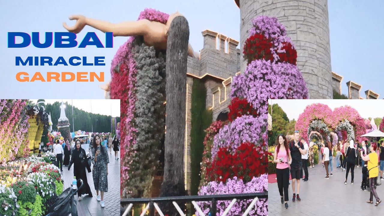 Dubai | Dubai's Floral Paradise: Unveiling the Magic of Miracle Garden